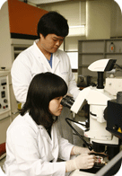 Laboratory pictures