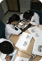 Oral and Maxillofacial Radiology